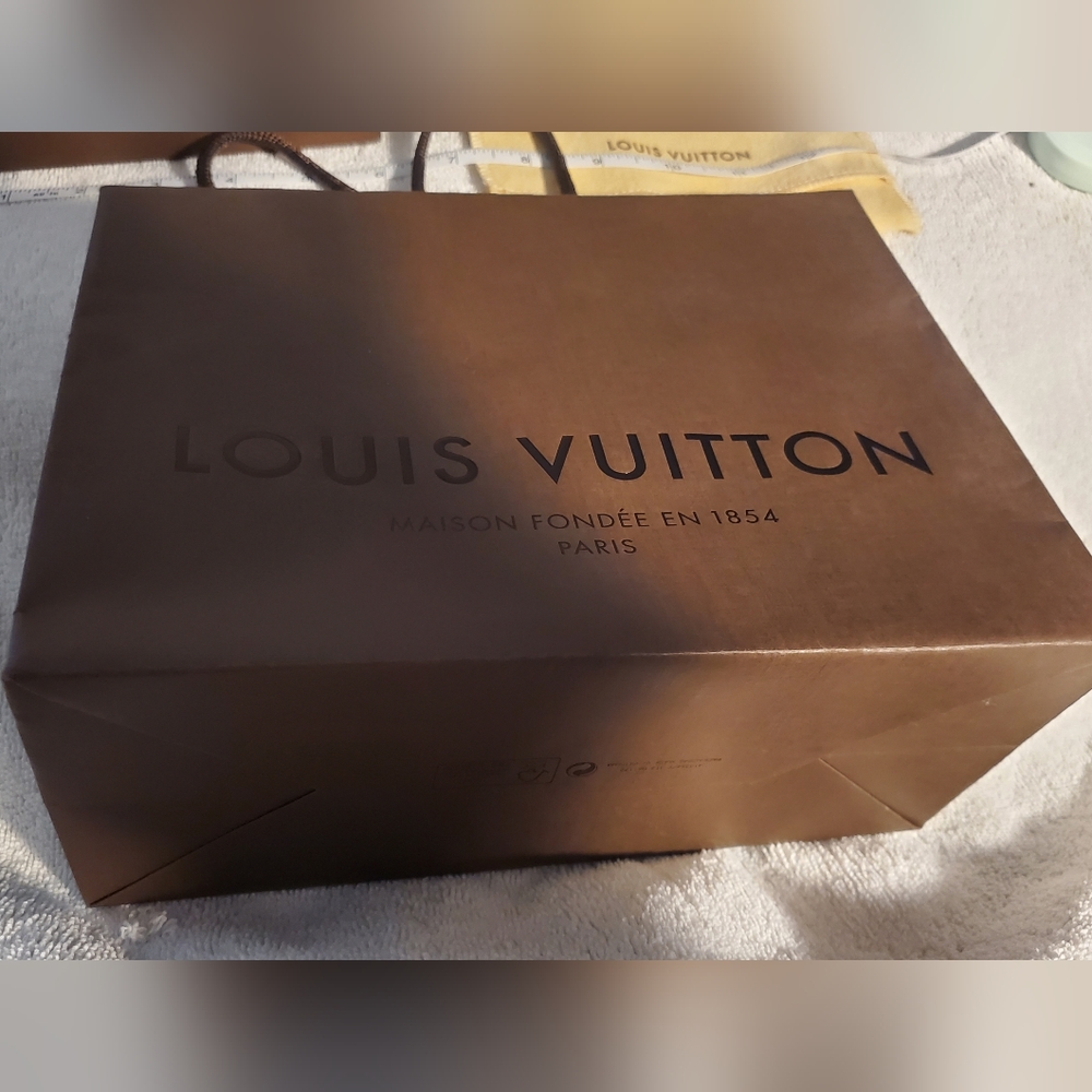 Louis vuitton paper bag